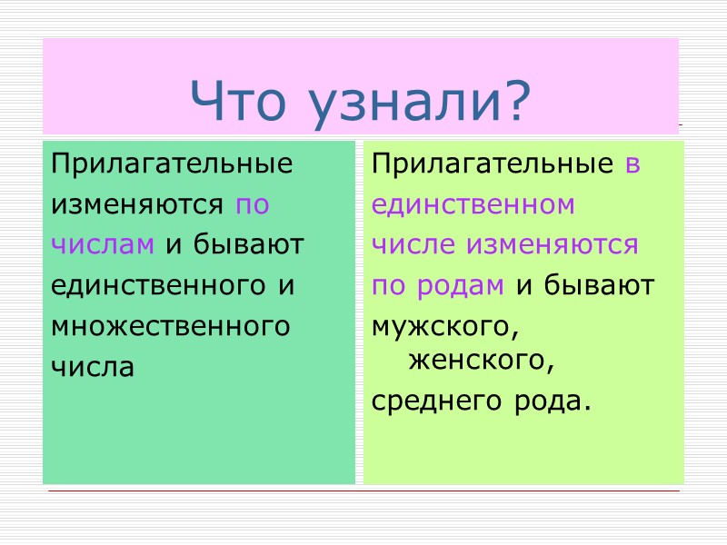 Что узнали? Прилагательные изменяются по  числам и бывают единственного и  множественного числа